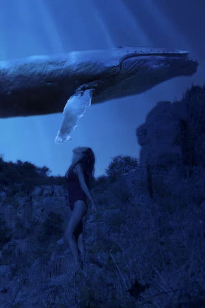 NEO Sertão Capítulo II: Profecia NEO Sertão Capítulo II: Profecia