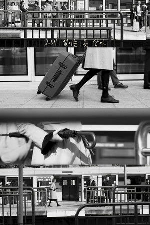 Can’t Live Without You Can’t Live Without You