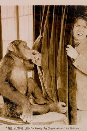 The Missing Link The Missing Link