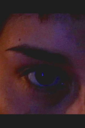 The Night & The Universe The Night & The Universe