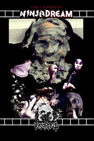 Ninja Dream Ninja Dream