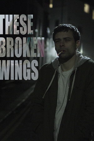 These Broken Wings These Broken Wings