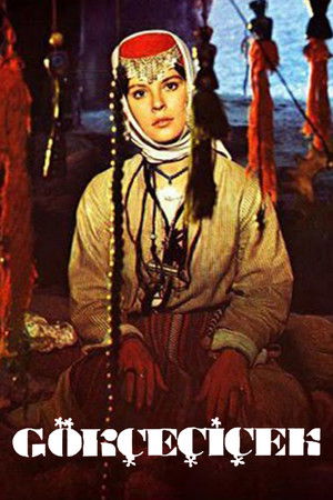 Gökçe Çiçek Gökçe Çiçek