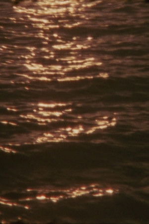 Umbra Viventis Lucis