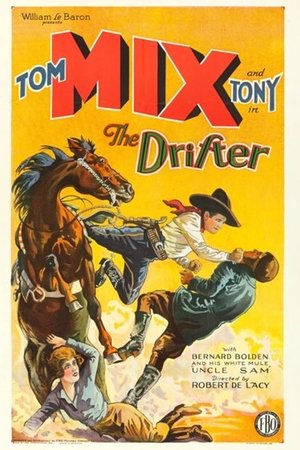 The Drifter The Drifter