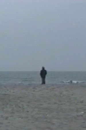 L'Arbre et le Soleil L'Arbre et le Soleil