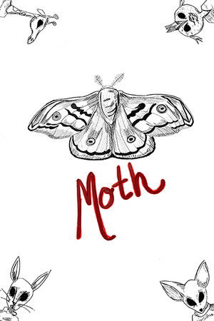 Moth Moth