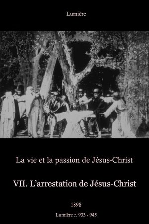 VII: The Arrest of Jesus Christ