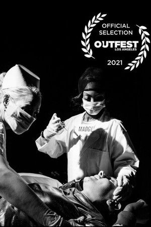 The Number 12 The Number 12