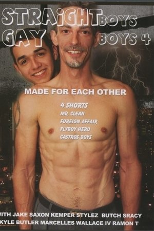 Straight Boys, Gay Boys 4: Made for Each Other Straight Boys, Gay Boys 4: Made for Each Other