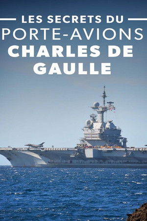 Les Secrets Du Porte-Avions Charles De Gaulle