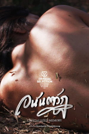 Crystallized Memory Crystallized Memory