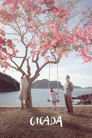 Cicada Cicada