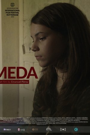 Meda