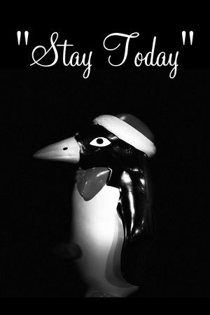 Stay Today