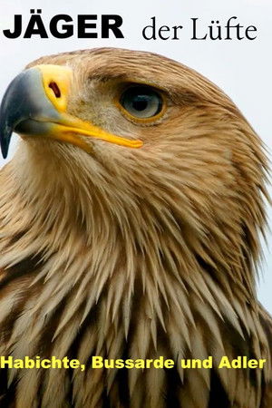 Jäger der Lüfte - Habichte, Bussarde und Adler