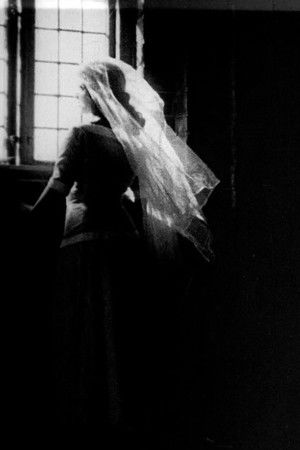 In the Shadow of the Throne In the Shadow of the Throne