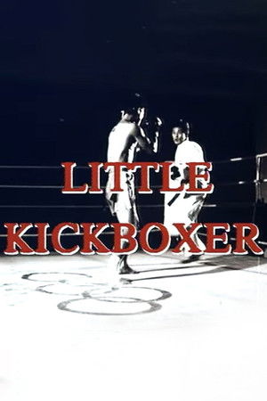 Thunder Ninja Kids: Little Kickboxer