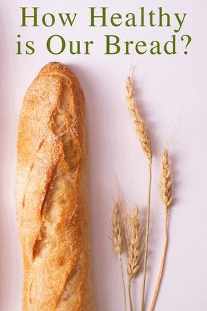 How Healthy Is Our Bread? How Healthy Is Our Bread?