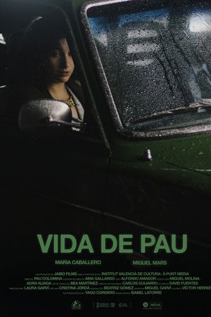 Vida de pau