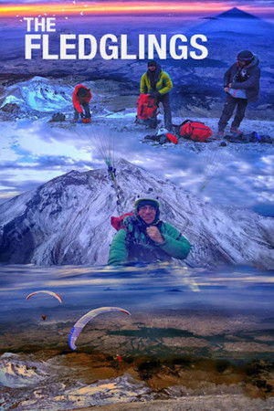 The Fledglings The Fledglings