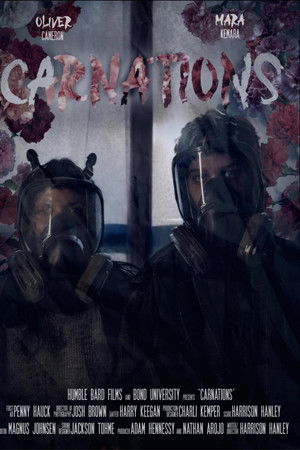 Carnations Carnations