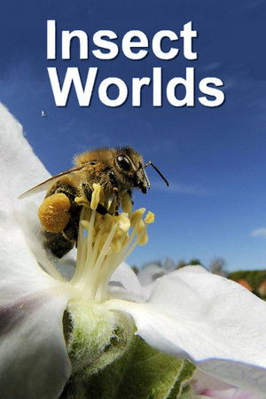 Insect Worlds Insect Worlds