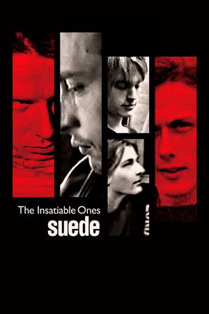 Suede: The Insatiable Ones Suede: The Insatiable Ones