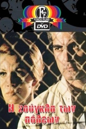 The Jungle of Cities The Jungle of Cities