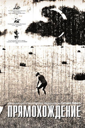 Bipedalism Bipedalism