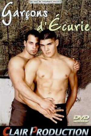 Stable Boys Stable Boys