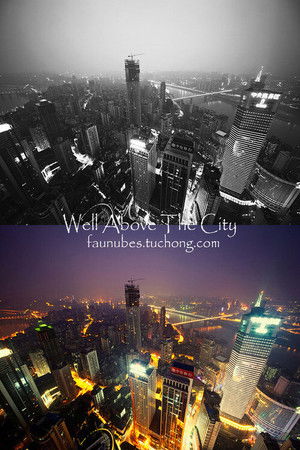 Vertical City Vertical City