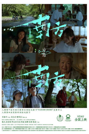 Back to the South Back to the South