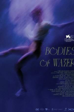 Bodies of Water
