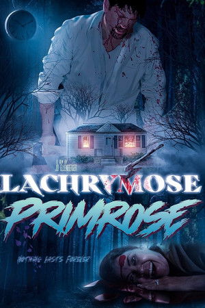 Lachrymose Primrose Lachrymose Primrose