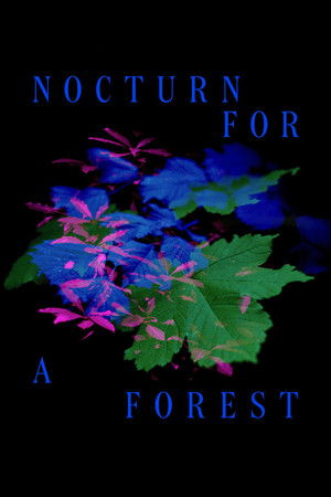 Nocturne for a Forest Nocturne for a Forest