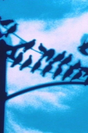 Faultlines Faultlines