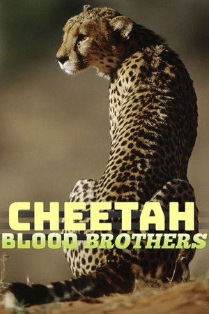Cheetah Blood Brothers