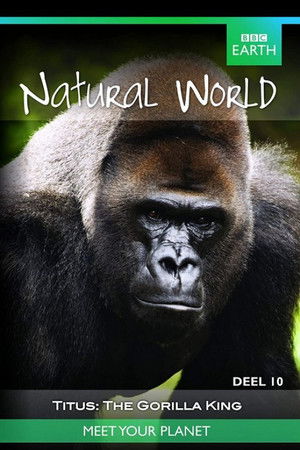 Titus: The Gorilla King Titus: The Gorilla King