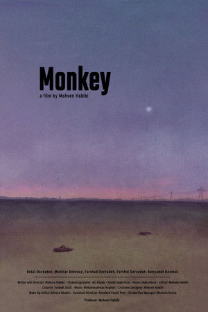 Monkey Monkey
