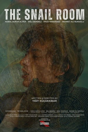 The Snail Room The Snail Room