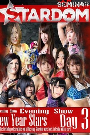 Stardom New Years Stars Tag 3 (Evening Show) Stardom New Years Stars Tag 3 (Evening Show)