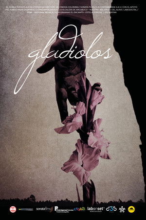 Gladiolos