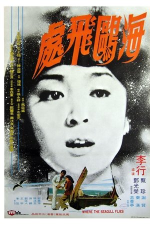 Where the Seagull Flies