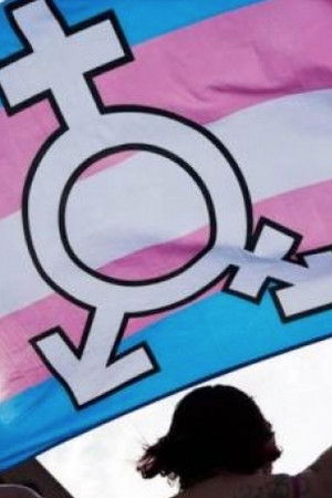 How I Became a Woman How I Became a Woman