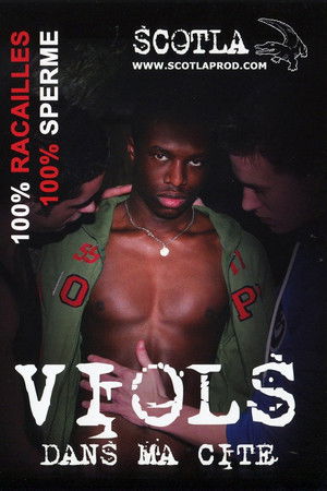 Viols dans ma cité Viols dans ma cité