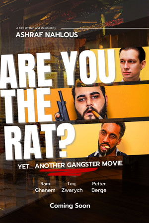Are You The Rat?