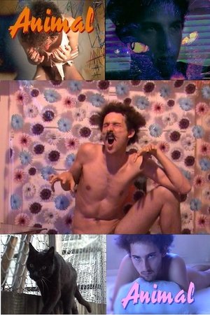 Animal Animal