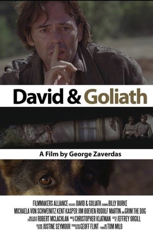 David and Goliath David and Goliath