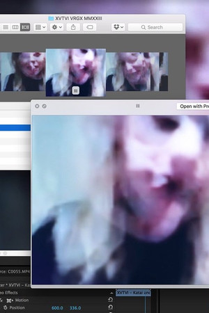 Everybody Wants It All Everybody Wants It All